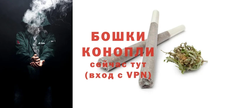 Бошки Шишки гибрид  Волхов 